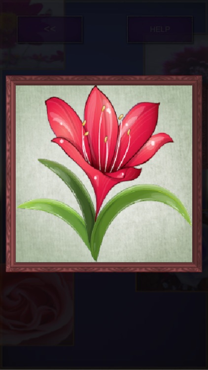 Picross Flower (nonogram) screenshot-3