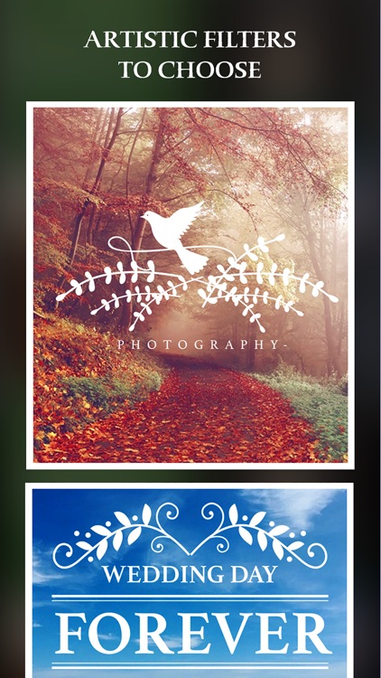 Simple Collage Pro - photo frame and PIP collage maker screenshot-4