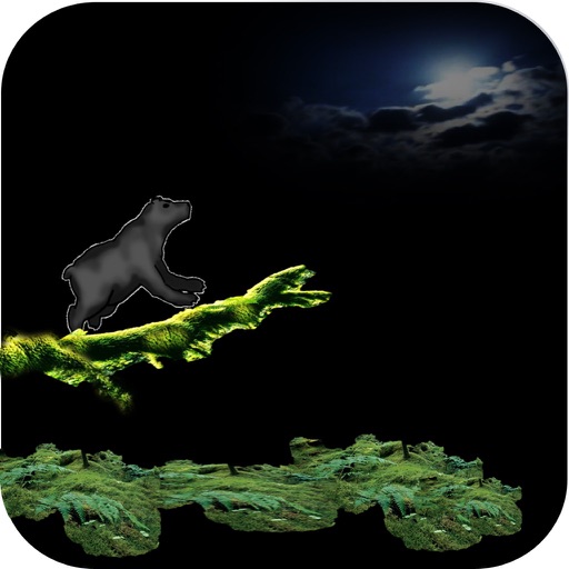 Bear Run 2016 iOS App