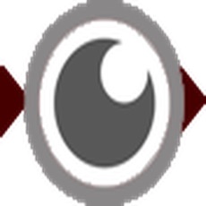 Activities of Offset Bird