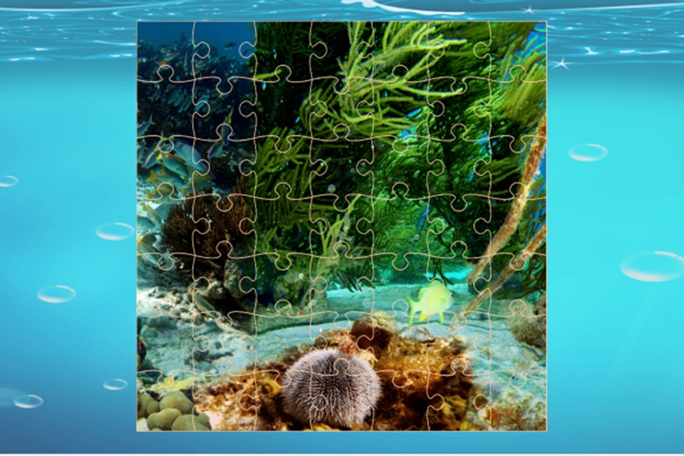 Finding Cute Fish And Sea Animal In The Cartoon Jigsaw Puzzle - Educational Solving Match Games For Kids screenshot 2
