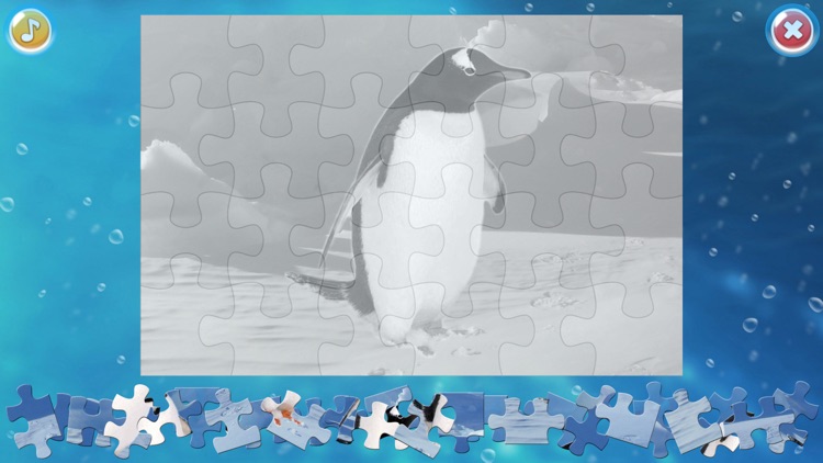 Arctic Animals Puzzle