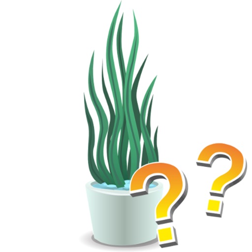 Houseplants - quiz Icon