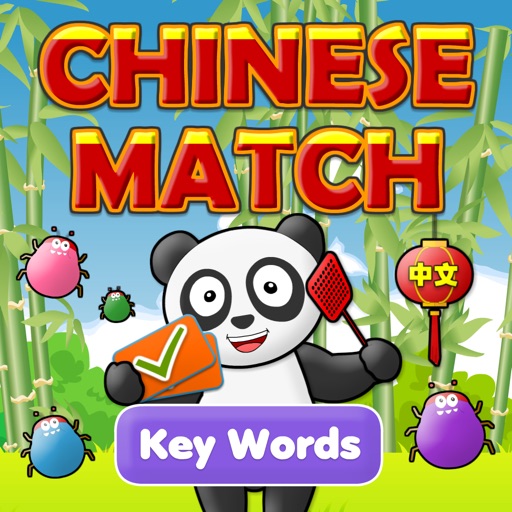 Chinese Match: Key Words HD icon