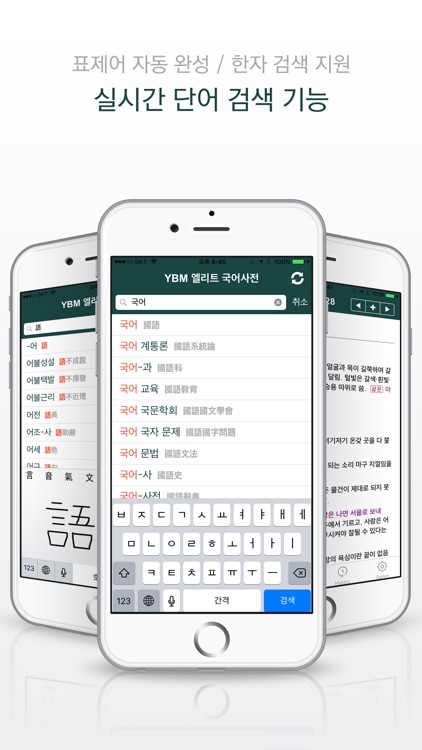 YBM 엘리트 국어사전