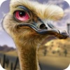 Real Desert Ostrich Hunter 2016 - Shotgun 3D Assassin Wild Hunting Simulator