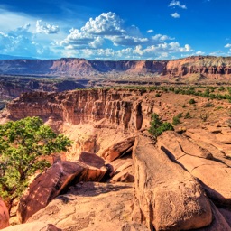 CHI Encyclopedia of U.S. National Parks