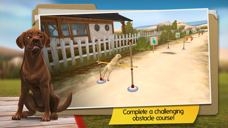 DogHotel: My Dog Boarding Kennel screenshot-4