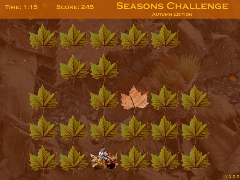 Seasons Challenge: Autumn Edition HD screenshot 2