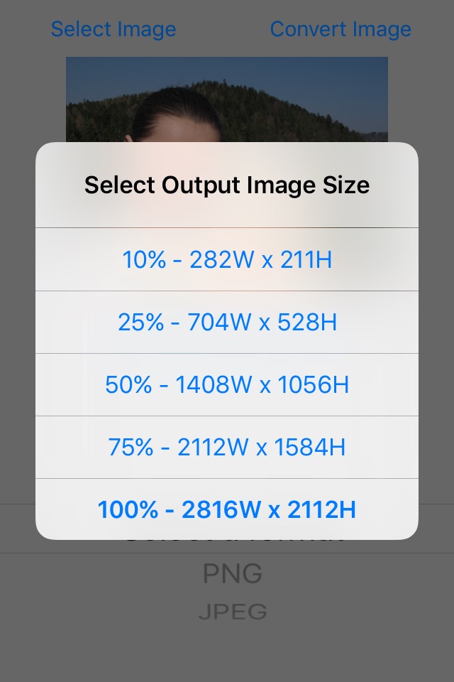 Image File Converter screenshot 2