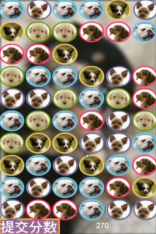 可爱小狗对对碰-免费经典单机天天消消乐，休闲益智全民爱消除 screenshot 2