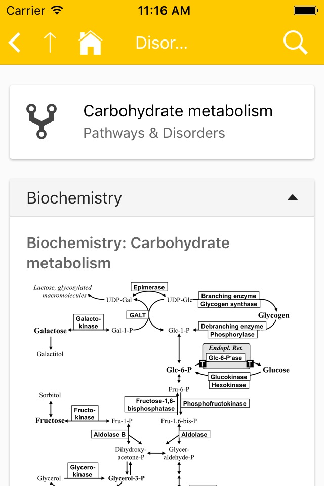 eVM - Vademecum Metabolicum screenshot 2