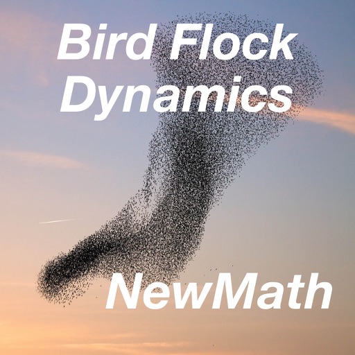 Bird Flocking: NewMath iOS App
