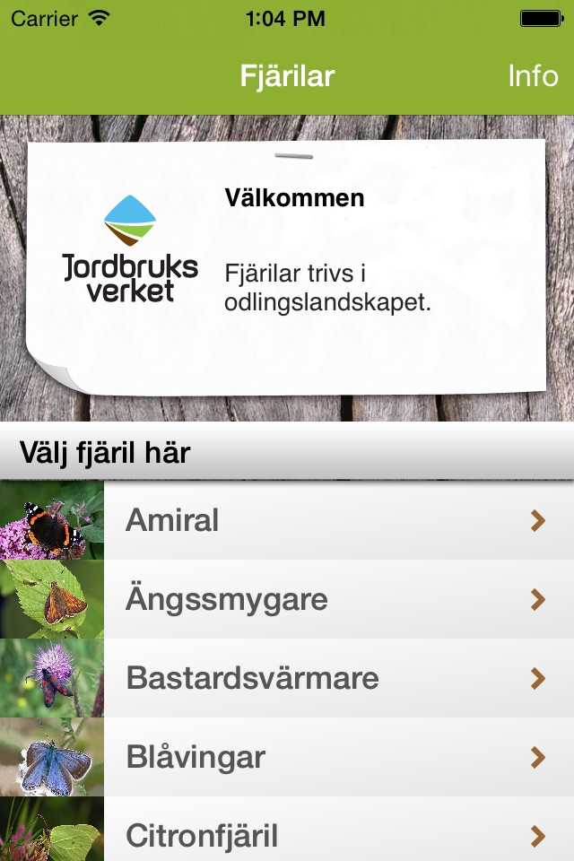 Fjärilar screenshot 3