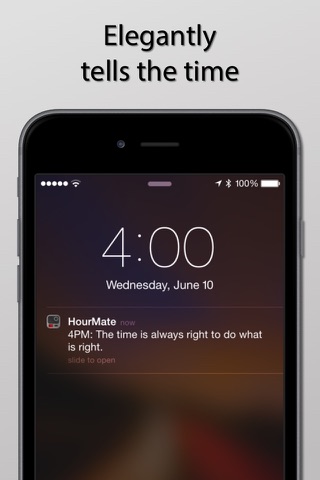 HourMate Pro - Hourly Chime & Time Reminder for Keeping Track of Your Precious Hours screenshot 2
