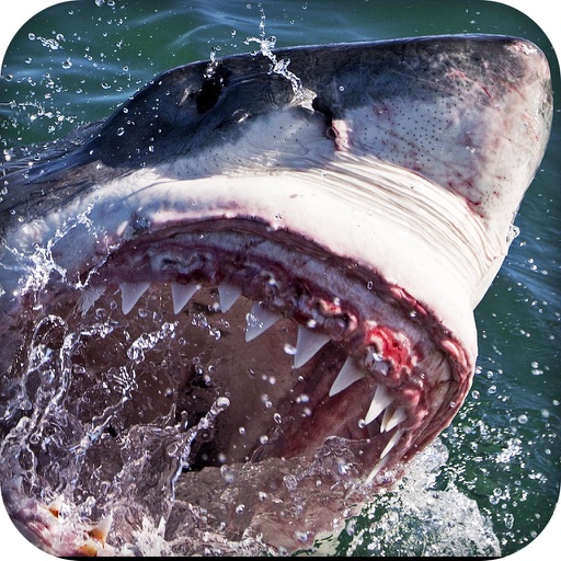 2016 Hungry World Shark Monster Teeth’s Predators Revenge - Winter Sharks Hunting Games Season icon