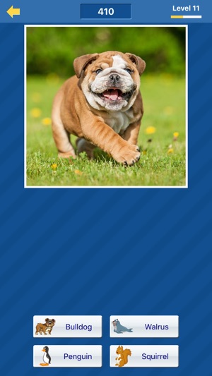 Guess the animal (free animal pictures game)(圖5)-速報App