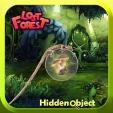 Activities of Lost Forest : Fun with Hidden Objects