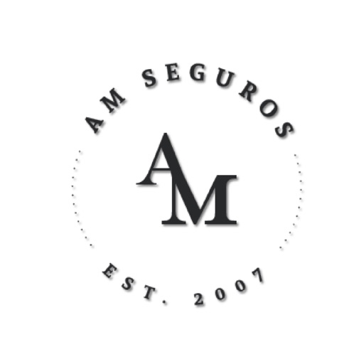 AM SEGUROS