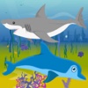 Dolphin Shark Attack
