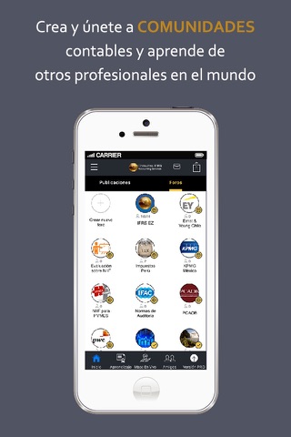 eGAAP - Red Mundial de Profesionales Contables screenshot 2