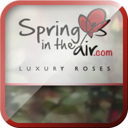 Spring in the Air Luxury Roses