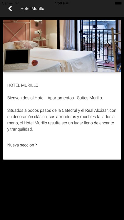 Hotel Murillo