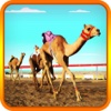 Camel race 2016 game
