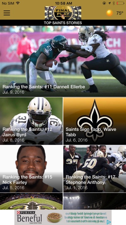 Final Play: New Orleans Pro Football