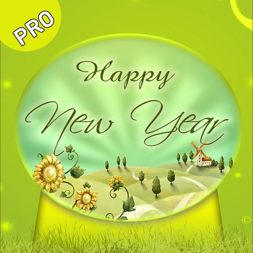 Happy New Year Greeting icon