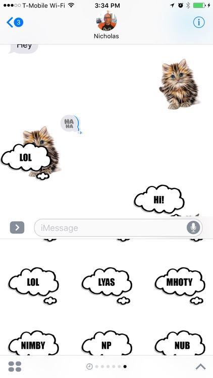 Funny Cat Stickers screenshot-4