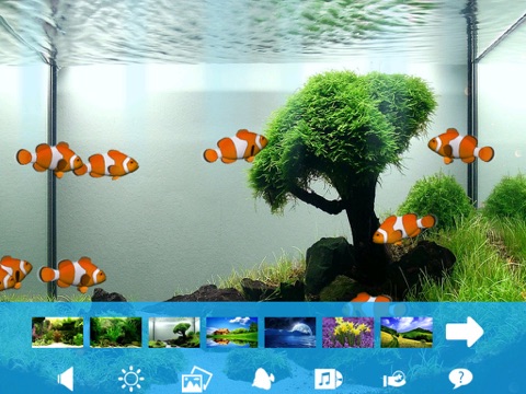 Aquarium Now HD screenshot 4