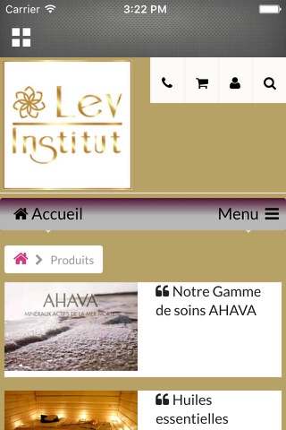 Lev Institut screenshot 3