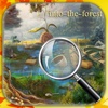 Hidden Objects Into The Forest