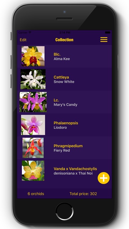 Orchid Collection