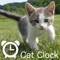 It is a clock app for cat lovers