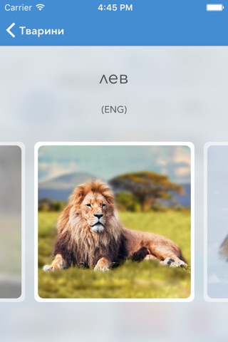 Visual dictionary Eng-Ukr screenshot 3