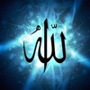 Quran - تفسير القرآن الكريم