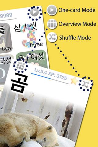 Learn Korean Vocabulary Words & Phrases FlashCards - náhled