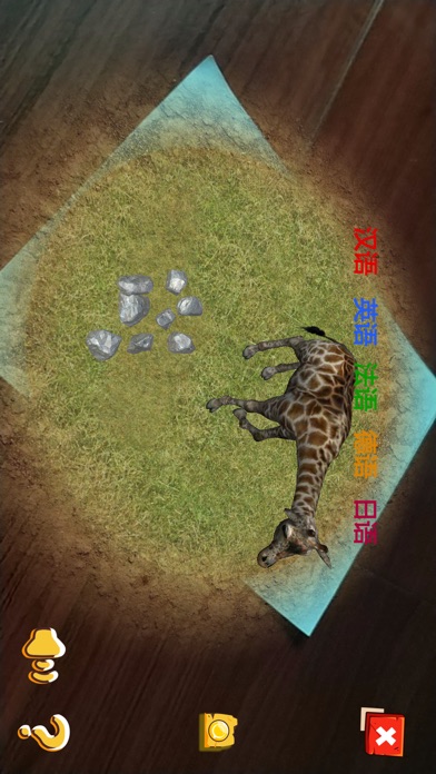 走近动物 screenshot 4