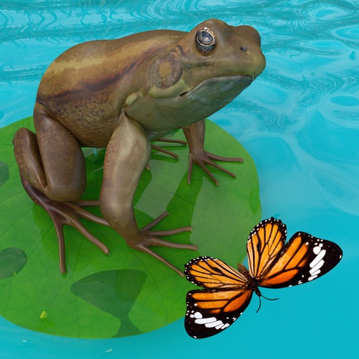 Frogs Life Icon