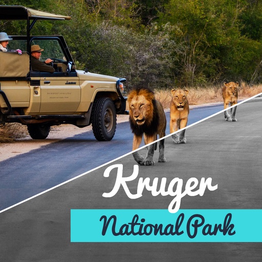 Kruger National Park icon