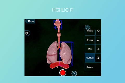 Breathing Mechanism 3D screenshot 3