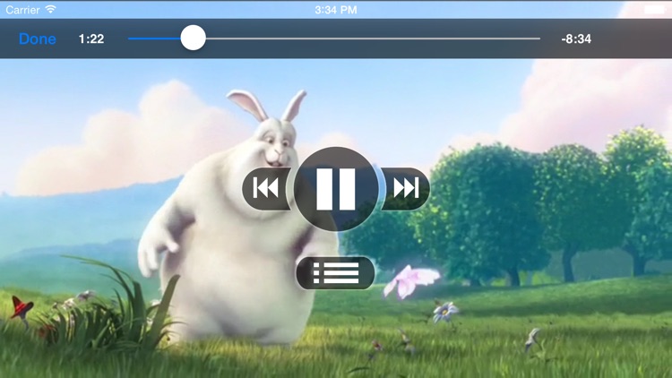 Flux Player