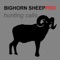 REAL Bighorn Sheep Hunting Calls -- (ad free) BLUETOOTH COMPATIBLE