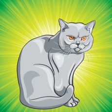 Activities of Coloring Book : Cats & Kittens