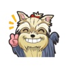 My Terrier Sticker Pack for iMessage