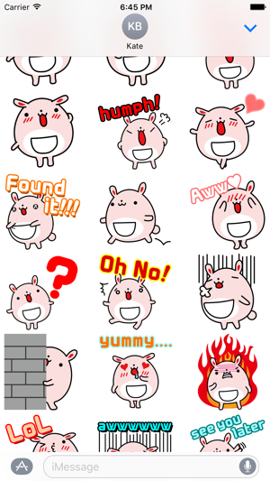 Fat Bunny ~Stickers for Daily Life~