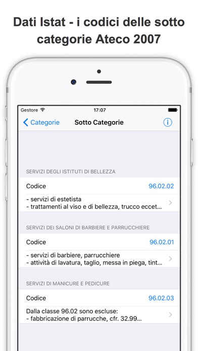 Classificazione Ateco 2007 Codice Attività Economica screenshot 2