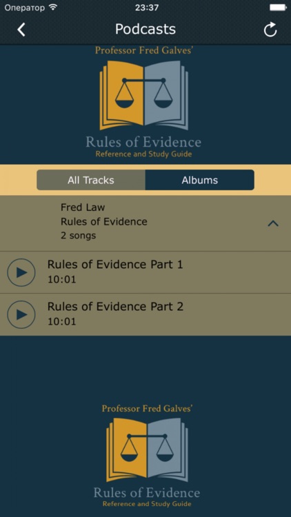 Prof. Galves Rules of Evidence screenshot-3